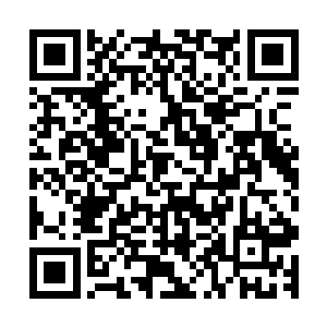 只见那几根飞矢纷纷准确无误地击中了冲锋小舟上的朴家将士二维码生成