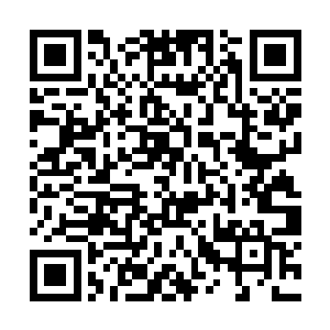 只见那四柄匕首狠狠的刺在娜丽丝和修罗脚尖的位置二维码生成