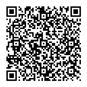 只觉得一股足堪冻彻天地的凛冽寒气以一种势如破竹的态势从对方手掌中强势进入到了自己的手掌二维码生成