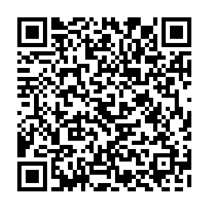 只说大伯娘吴氏和李秀儿打听了一番也没打听到李凤儿一家到底住在哪里二维码生成
