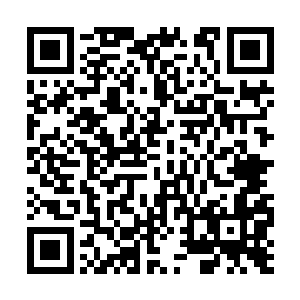 只需在一旁以神枢密切留意着血脉改造的过程即可二维码生成