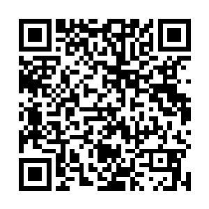 只需要举枪向在地上的痛苦打滚的武装分子开枪就行了二维码生成