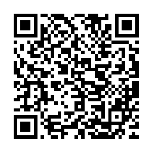 叫上林德一起前往狗王死掉的地方去看看有没有什么便宜可以占二维码生成