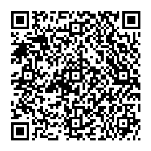 叫你实在是无论如何也没办法将这么个妖孽级的天才与眼前这个看上去就好像一个邻家大男孩的家伙联系到一起二维码生成