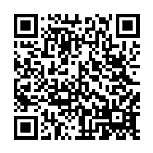 可万仙殿的一干弟子们却是崇拜的看着掌门真人大显神威二维码生成