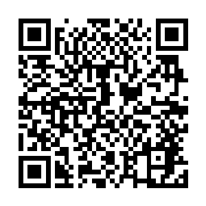 可不就是他们曾经看过的那张有些模糊不太清的照片的主角二维码生成