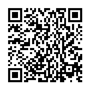 可不得不承认苗毅有时候的横冲直撞比他千算百算的效果要好二维码生成