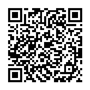 可不是现在我们仅给他们标记而无甚作用的神格庇护可比二维码生成