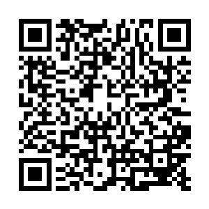 可为什么我看你的反应则完全不是是这个样子认识我的呢二维码生成