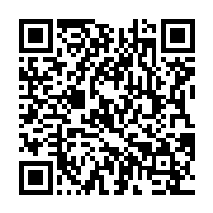 可为什么此刻在这镇妖塔之中却会有一条青龙的出现呢二维码生成