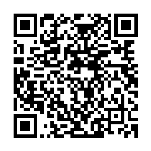 可九头墨蛟所拉的车和雷霆飞船却仍旧速度不满的飞向蛮荒森林二维码生成