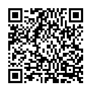 可事实上他握着方向盘的双手已经在不知不觉中狠狠地收紧了二维码生成