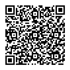 可从这黑漆漆的洞里都接着一条条白色的塑料管子引着什么到正中一具很大的水泥池子里面二维码生成