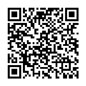 可他们几个就算苗毅给他们铺好了路也无法稳住局势二维码生成