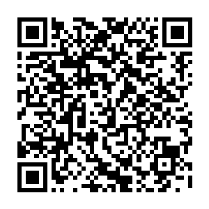 可他们却又实实在在的亲眼看见这家药材铺真正的主人收拾可恶掌柜的场面二维码生成