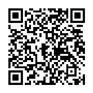 可他们没注意到楼下的金在珉露出一副奸计得逞的表情二维码生成