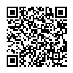 可他却始终都屹立不倒……反倒是秦方每一次的反击二维码生成