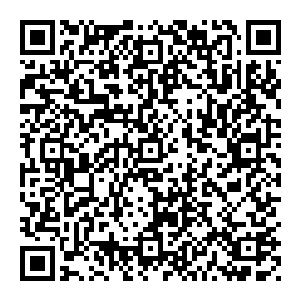 可他唯独承认的一个兄弟就那么眼睁睁的死在眼前若是他不发楞若是他一直提防着玫瑰或许也不会发现如此一幕可现在完了二维码生成