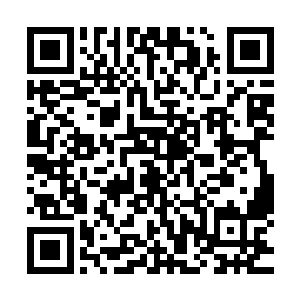 可他怎么就一门心思的认为将来继承大统的一定就是九皇子呢二维码生成