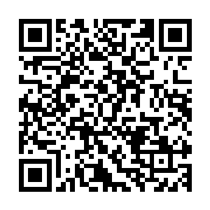 可以使用--导弹和炮弹都是由我身体的一部分自动生产出来二维码生成