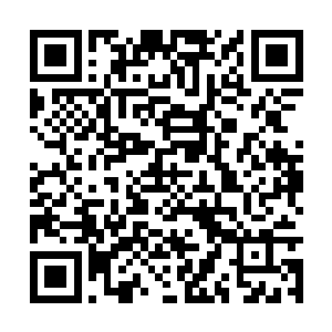 可以单独使用自己精神力构建法术模型的法师来说二维码生成