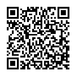 可以在诸多高人没有刻意针对的情况下隐瞒境界和真实武功……二维码生成