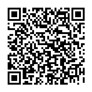 可以在这些缝隙中看到好像是血管的物质……而且这些物质明显是在蠕动着的二维码生成