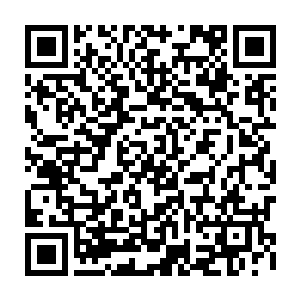 可以尽情探索如何利用普通的轻武器打死尸兄--哪怕是初级尸兄的办法二维码生成