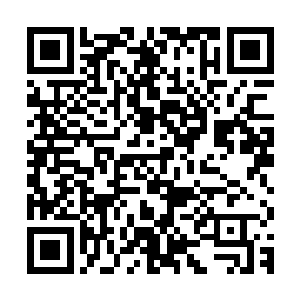 可以撕碎一切生灵的阴界风暴在楚旬面前竟然会如此的不堪一击二维码生成