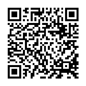 可以明确看到对的方腹痛是由于动脉硬化导致肠系膜上动脉栓塞二维码生成