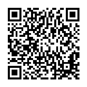可以清晰无比的将所有海神殿的水系至尊的位置都侦测出来的二维码生成