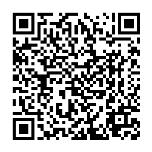 可以清晰的看到那一团血红色的雾气……完全由无数只的血神子组成的二维码生成