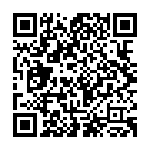 可以看得出来在整个试镜过程中马丁都在记录自己对雨果的看法二维码生成