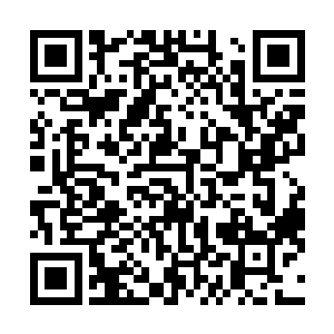可以让神州一号的表面装甲合金分子结构进行短暂的变形二维码生成
