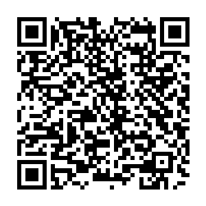 可以说几乎是委曲求全地签了一份条件对大梦很有利的合同――当然还有漫威的二维码生成
