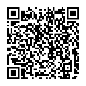 可以说指环王第一部护戒使者与哈利波特是今年内东城影业最为挣钱的两部戏二维码生成