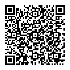 可以说是整个洛杉矶地下世界的教父级大佬的……这绝对是一个权势无比显赫的可怕存在的二维码生成