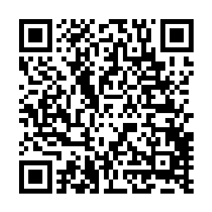 可以说杨戬几个人这次绝对有百分之百的把握获得升龙令了二维码生成