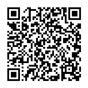 可以说苏凡现在绝对是华夏地下世界无人不知无人不晓的一个角色二维码生成