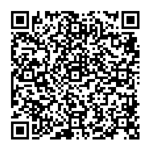可依然在他们的胸腹之间留下了一道很长很深的口子……那殷红的鲜血更是从铠甲的缝隙处流淌二维码生成