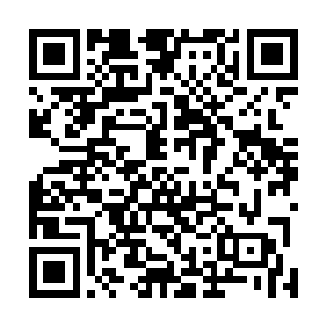 可依然被强势的震爆了……两个罡气领域的碰撞尤为惨烈二维码生成