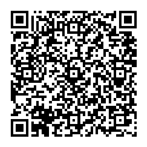 可其实陈小练和乔乔都一眼能看破他的心思――这家伙就是想晚上跑到爱情海边的酒吧和咖啡馆里二维码生成