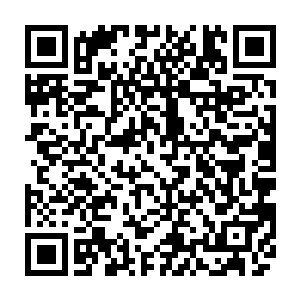 可南宫流云实力变强对龙凤族又确实有莫大的好处……所以大长老纠结归纠结二维码生成