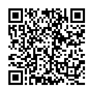 可南海那一次他才真真切切地体验到了什么才是真正的强者二维码生成