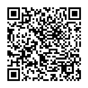 可即便是这样也没有任何一位有机会进入场域争夺域主传承的天骄会甘愿放弃二维码生成