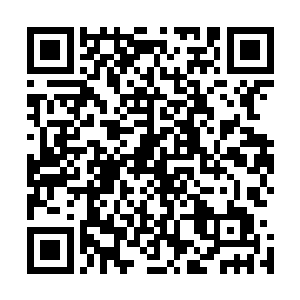 可压根就对付不了那几个一直守护着墨巢的域主和八品墨徒二维码生成