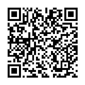 可可出生了……而他几乎把所有的宠爱都放在了可可的身上二维码生成