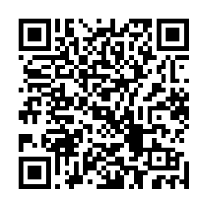 可后来南南他们说说有人从他怀里把那张印刷协议给偷走了二维码生成