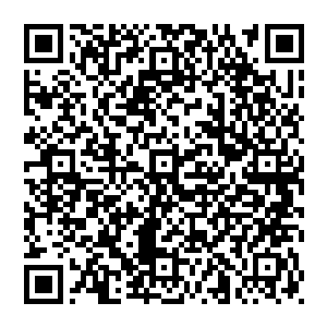 可在没有逮捕令的情况下随时提审嫌疑人……可以说军部所有人最害怕遇见的就是任何和这支军团有关系的人二维码生成