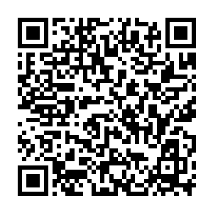 可她的教养让她即便在这样的神采飞扬之下也做不出不礼貌的动作二维码生成